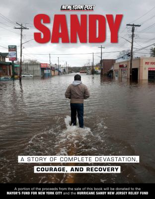 Sandy New York Post 
