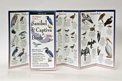 Sanibel Captiva Birds Foldingguides N A 