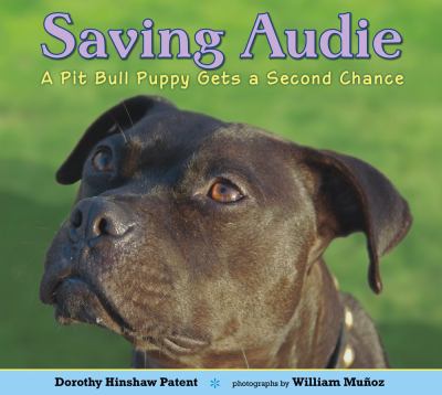 Saving Audie 