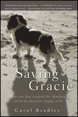 Saving Gracie Bradley Carol 