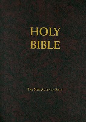 School Church Bible Nab Large Print 