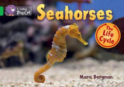 Seahorses Collins Education 