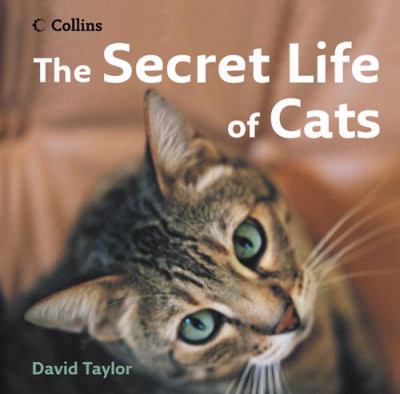 Secret Life of Cats David Taylor 