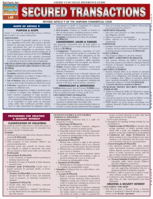 Secured Transactions BarCharts Inc 