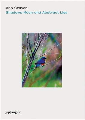 Shadows Moon and Abstract Lies 