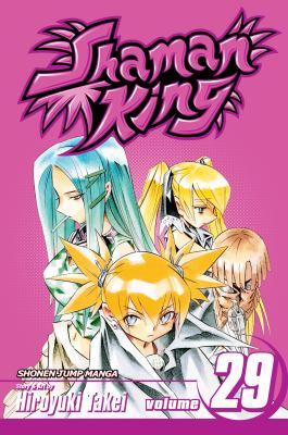 Shaman King Volume 29 