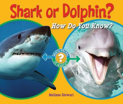 Shark or Dolphin Stewart Melissa 