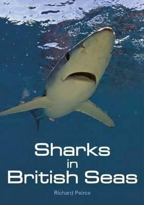 Sharks in British Seas Peirce Richard 