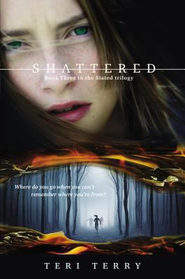 Shattered Slated Terry Teri 