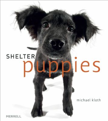 Shelter Puppies Kloth Michael 