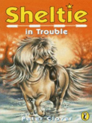 Sheltie 11 Peter Clover 