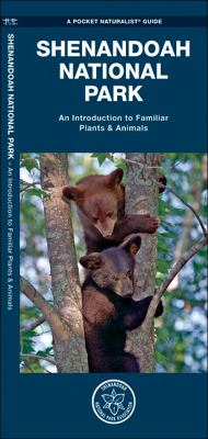 Shenandoah National Park Kavanagh James 