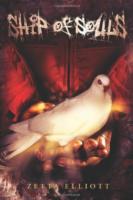 Ship of Souls Zetta Elliot 