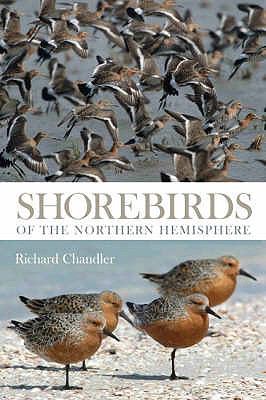 Shorebirds of the Northern Hemisphere Chandler Richard 