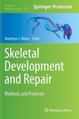 Skeletal Development and Repair 