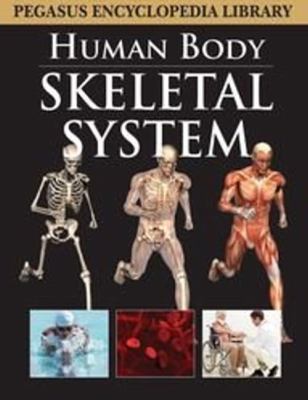 Skeletal Systemhuman Body Pegasus 