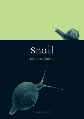 Snail 