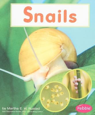 Snails 