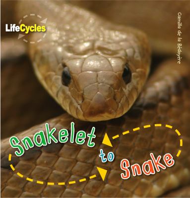 Snakelet to Snake de La Bedoyere 