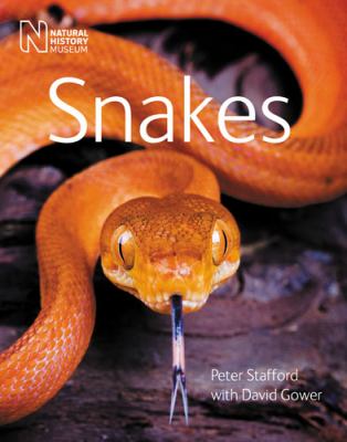Snakes Stafford Peter J 