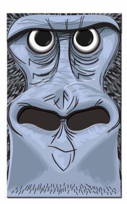 Snappers Gonzales Chuck 