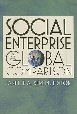 Social Enterprise Kerlin Janelle A 