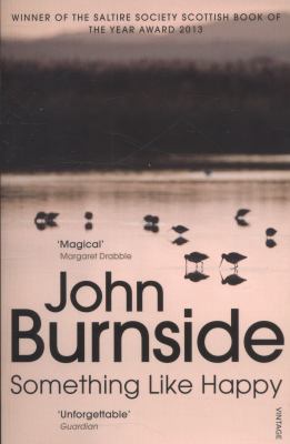 Something Like Happy Burnside John 