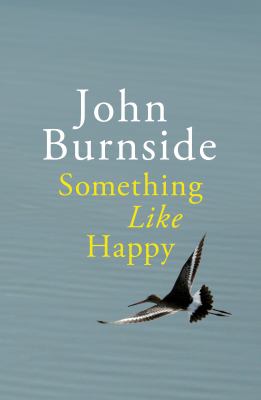 Something Like Happy Burnside John 