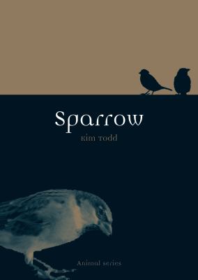 Sparrow Todd Kim 