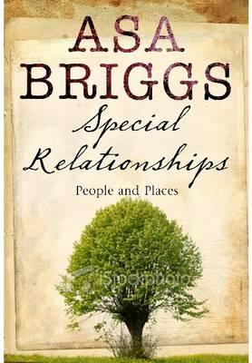 Special Relationships Briggs Asa 