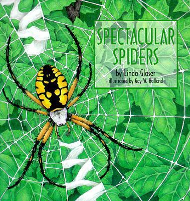 Spectacular Spiders 