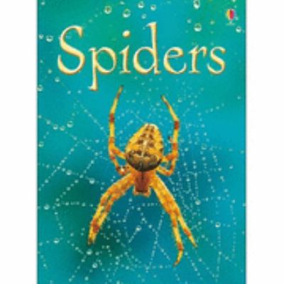 Spiders 
