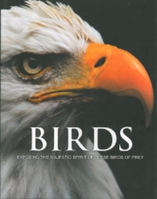 Spirit of Birds of Prey 
