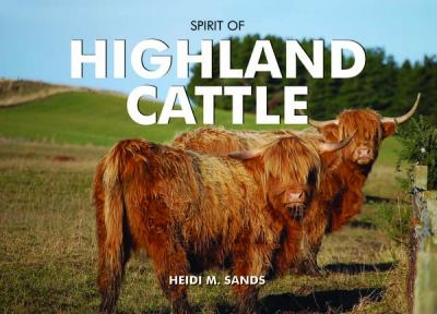 Spirit of Highland Cattle Sands Heidi M 