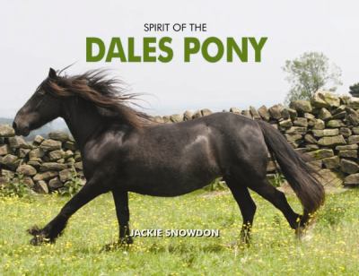 Spirit of the Dales Pony Snowdon Jackie 