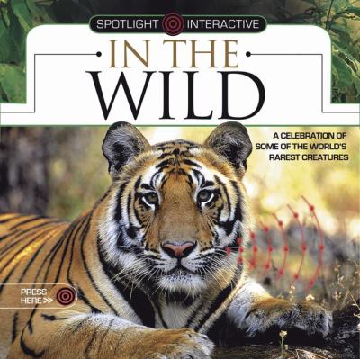 Spotlight Interactive 