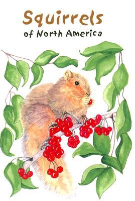 Squirrels of North America Miller Millie 