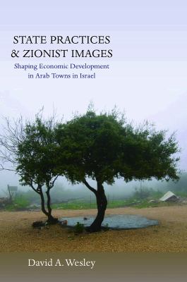State Practices and Zionist Images 