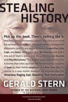 Stealing History Stern Gerald 