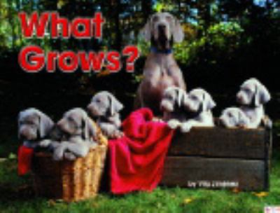 Steck Vaughn Shutterbug Books TBA 