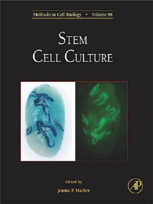 Stem Cell Culture 