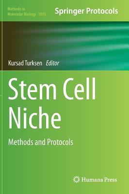 Stem Cell Niche 
