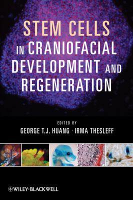 Stem Cells Craniofacial Development and Regeneration 