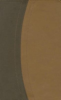 Story Going Deeper NIV Zondervan Bibles 