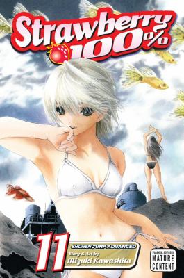 Strawberry 100 Vol 11 
