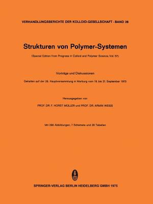 Strukturen Von Polymer Systemen 