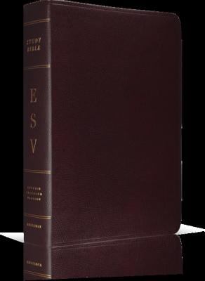 Study Bible ESV With Online Access Code 