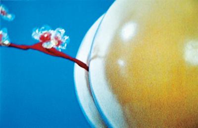 Sturtevant Eleey Peter 