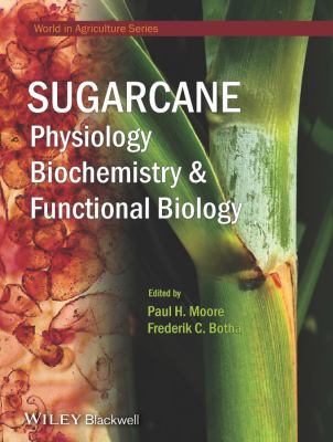 Sugarcane Moore Paul H 