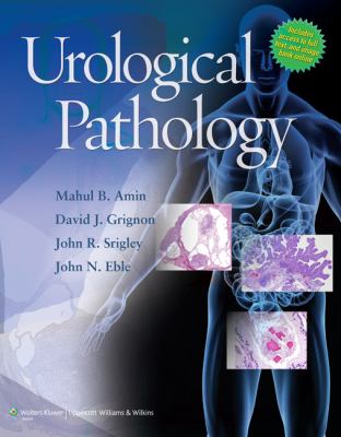 Surgical Pathology of the Genitourinary Tract Amin 
